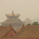 SizzleBird - Joie De Vivre