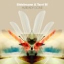 Sidelmann, Shazzman, Terri B! - Already Gone (Shazzman Lounge Mix)