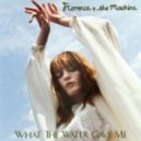 Matt Nash vs. Florence & The Machine - What The Heart Gave Me