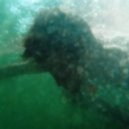 Parra for Cuva feat. Anna Naklab - Something Near ()