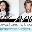 Gotye vs. Avicii - Levels I Used To Know (Elementia Mashup)