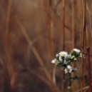 Dj Sellektor - Autumn Waves (Promo mix 02.10.2012)