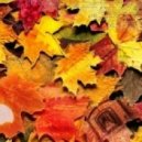 Dj Pinyackiy - Autumn Leaf Fall (Original Mix)
