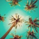 Toomy Disco - The Brush