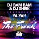 DJ Bam Bam, DJ Sheik feat. Ya Yah - The Freak (ANDRESS Mashup)