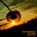 Zenit Incompatible - Mo\' Scrubs (Dj Marky vs TLC)