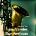 Syntheticsax & Igor Garnier - Forever & Ever