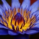 MaTcaL - RetroSpektiva