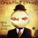 Counting Crows - Colorblind