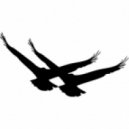 Armin van Buuren & Ferry Corsten vs. Christian Burns - On The Brute (DoubleV Mashup)