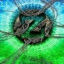 Zedd vs. Benny Benassi - Fall Into The Perfect Storm (Dj Koni Bootleg)