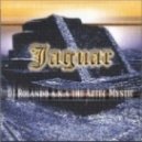 Sebastian Leger - Jaguar