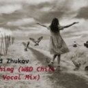 Vlad Zhukov - Nothing