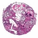 Eveson - Things You Say [Amen Version]