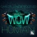 Yves V & Felguk, Nicky Romero & Zedd - Wow Human (Carlos Junior Bootleg)