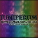 Juniperum - House Dance Atmosphere #4 ()