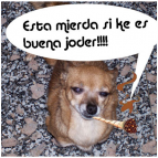 K-StaN - K-StaN La perra sa cagao y noveas la mierda k-soltao!!! ()