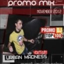 Urban Madness - Promo Mix (november 2012)