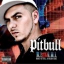 Pitbull - I like you want me
