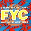 Fine Young Cannibals - She Drives Me Crazy (DjK Edit)