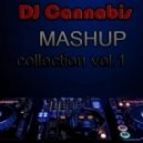 La Chris vs. Dipl.Inch & Christopher S - Dirty Girl (DJ Cannabis Mashup)