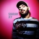 Sharam Jey & Dirty Disco Youth - Till We Drop