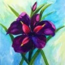 Ahmed Romel - Black Iris