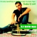 DJ Chick, Daniel Patt, Pipe Cruz vs. Stanislav Shik & De Fault Tokyo - Shake It Girl (DJ RICH-MAX Mash Up)