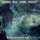 Bernas - Experement vol.5 ()