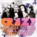 Lumidee feat. Pitbull Nicola Fasano & Steve Forest - Crazy (Chriss Ortega\'S Pirates Radio Re-Work)