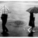 Vital - The Moment She Knew It Would Never Last ()