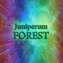 Juniperum - Forest