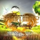 Aleksandr Zverev - Transsensation – Raiformica 02
