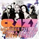 Lumidee feat Pitbull vs Nicola Fasano & Steve Forest - Crazy