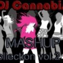 Nadia Ali vs. DJ Nejtrino & DJ Stranger - Free To Go (DJ Cannabis Mashup)