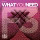 F3 - What You Need (Lessovsky Remix)