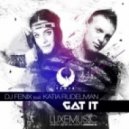 DJ Fenix feat. Katia Rudelman - Got It (Radio Edit)