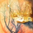 Exist Strategy - Small