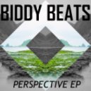 Biddy Beats - Perspective (Original Mix)