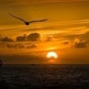 Geo_b - Uplifting -Trance mix vol. 99 ()