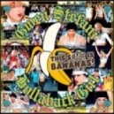 Gwen Stefani - Hollaback Girl (Dj Evgeniy Night Bootleg)