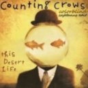 Counting Crows - Colorblind (Cajetanus Edit)