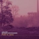 Flying Point - Beyond Consciousness (Post S Unreleased Remix)