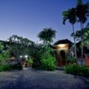 Bumas - Silent Night