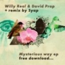 Willy Real, David Prap - Solarium (Original Mix)