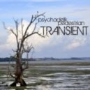 Psychadelik Pedestrian - Spectre