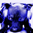 Madsound - NuDeep MiX