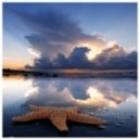 Unexplored World a.k.a. M.ETIS - Cosmic Infinity vol.3 ()