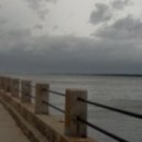 French For Rabbits - Claimed by The Sea