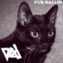 PIXL & Zef The Cat - Fur Ballin